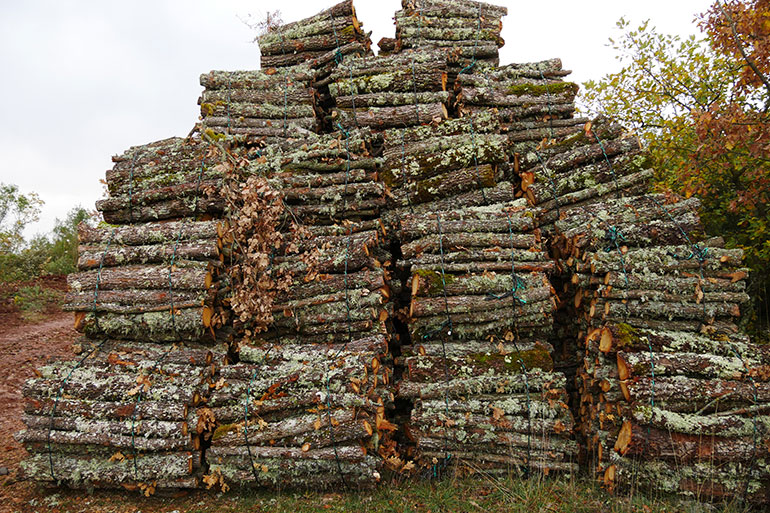 Bois de chauffage professionnel